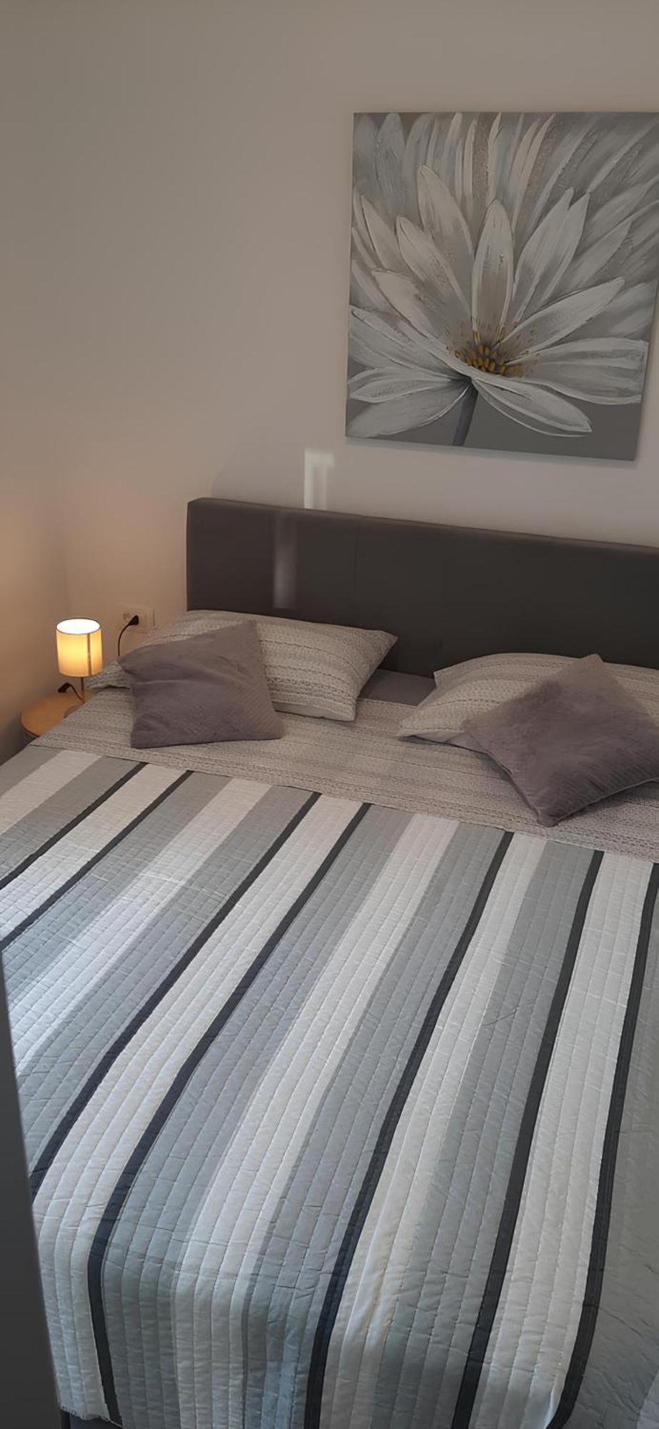 Apartment Puntamika Villa De Rosa - Ground Floor Zadar Eksteriør bilde