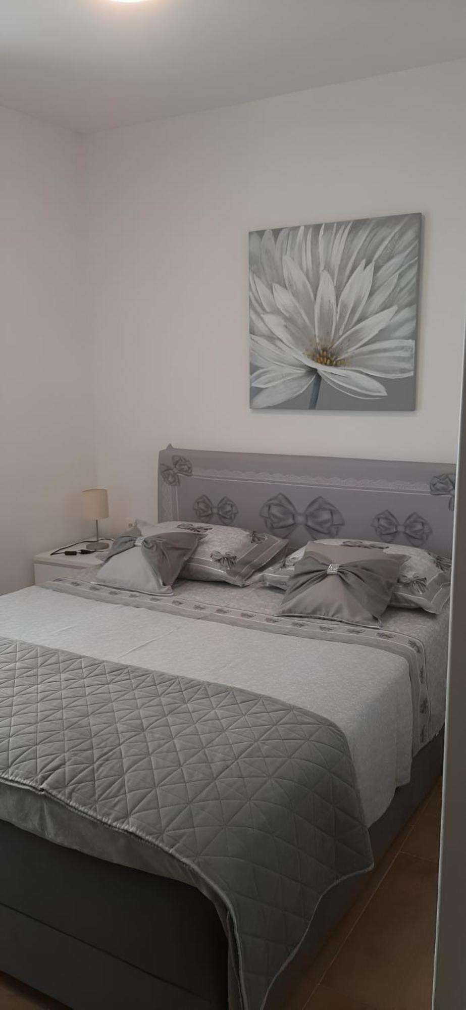 Apartment Puntamika Villa De Rosa - Ground Floor Zadar Eksteriør bilde